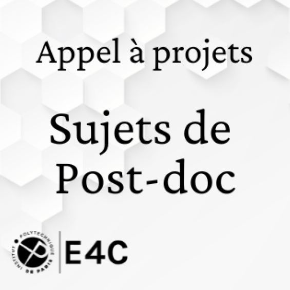 Appel à projet - Post-Doc