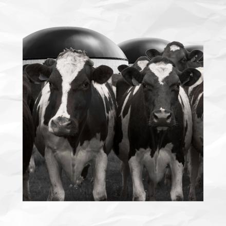 How can the biogas subsidy be used despite the rebound effect?